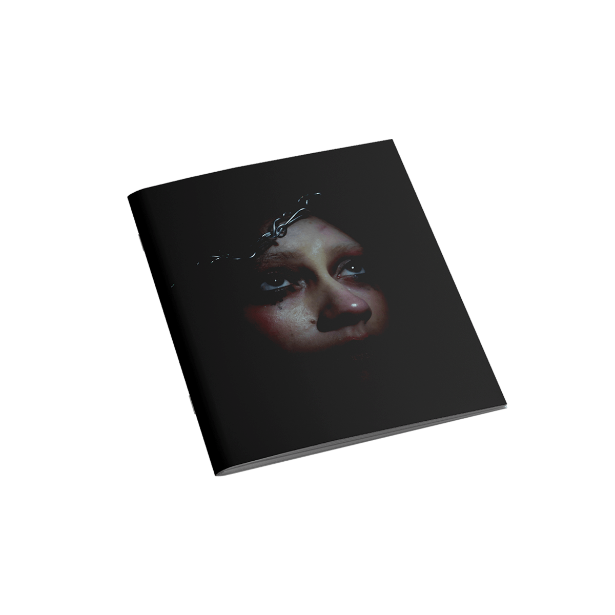 TESTIGO PHOTO ZINE - DL75 TESTIGO PHOTO ZINE
